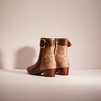 Restored Cassandra Bootie
