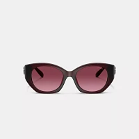 Maxi Sculpted C Oval Sunglasses