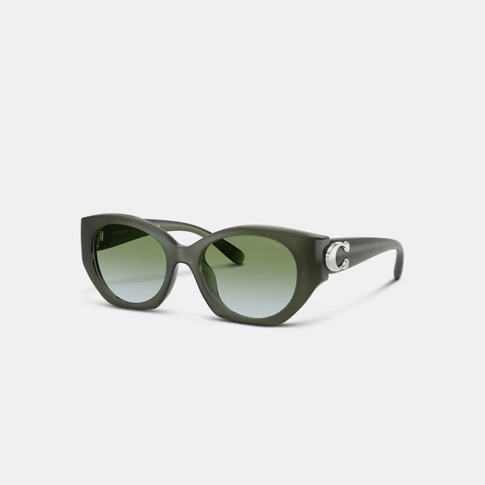Maxi Sculpted C Oval Sunglasses