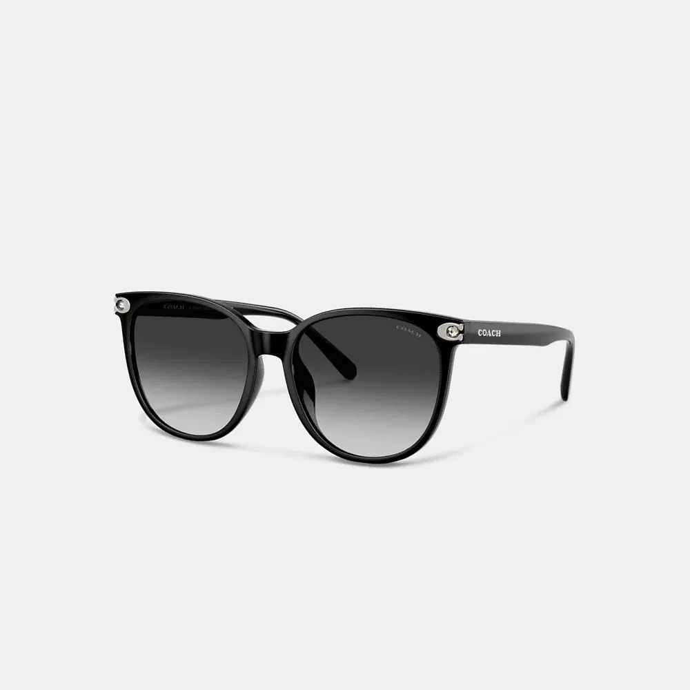 Embedded C Rounded Square Sunglasses
