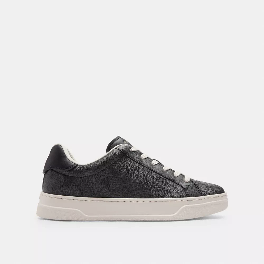 High Line Sneaker Signature Canvas