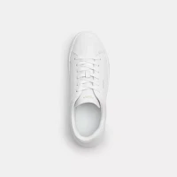 Coach X Peanuts High Line Sneaker Signature Canvas With Snoopy Print