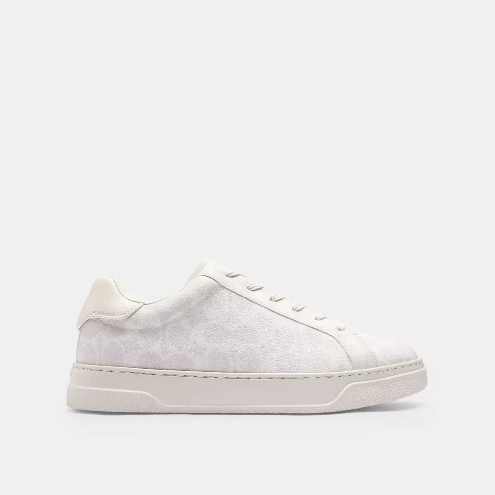 High Line Sneaker Signature Canvas