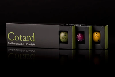 Boîte de 12 chocolats garnis