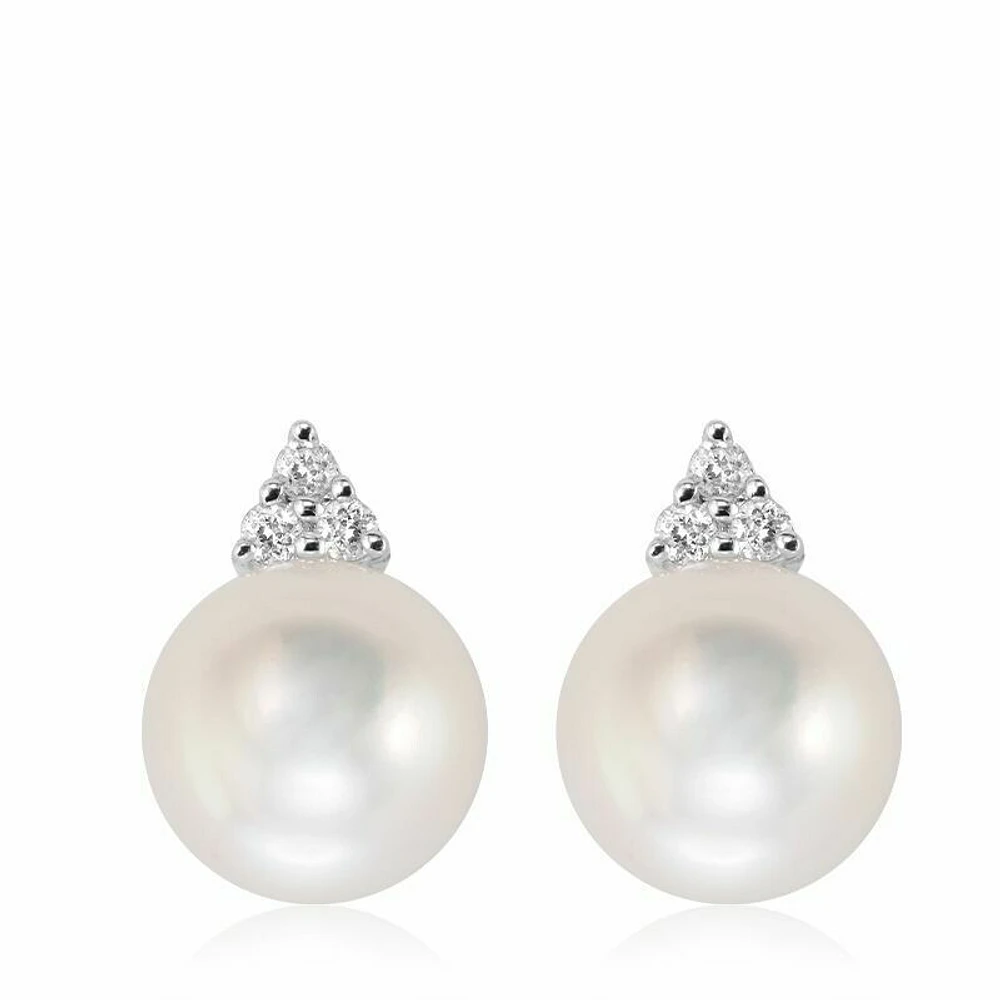 Cultured Freshwater Pearl & Diamond Stud Earrings White Gold