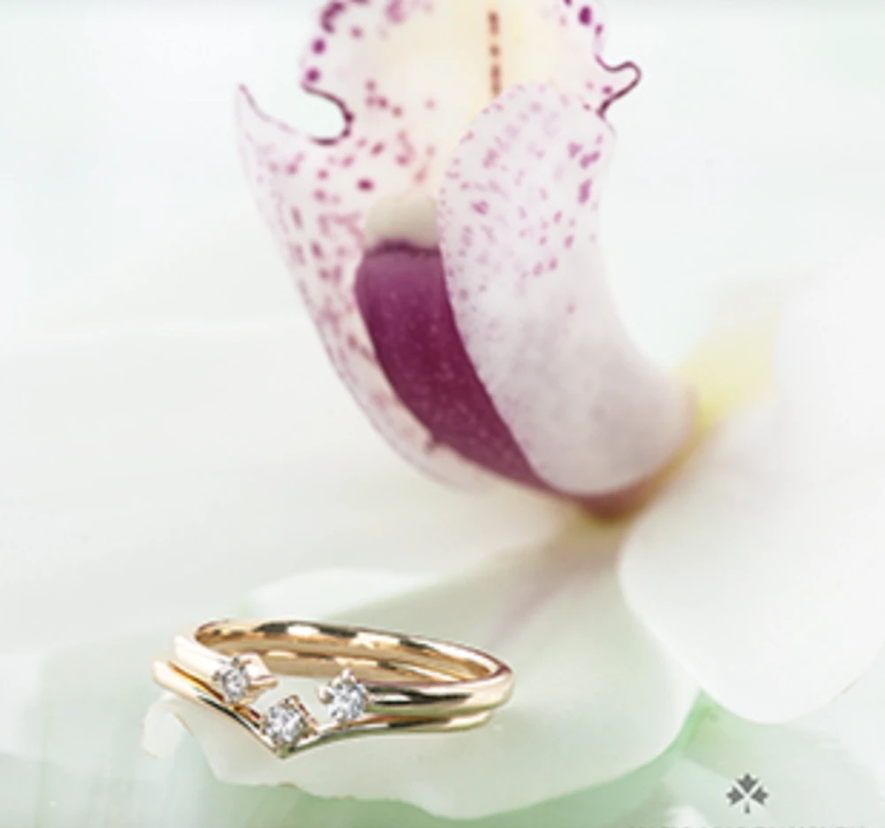 14K Yellow Gold 0.04cttw Canadian Diamond Ring, 6.5
