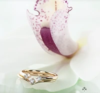 14K Yellow Gold 0.04cttw Canadian Diamond Ring, 6.5