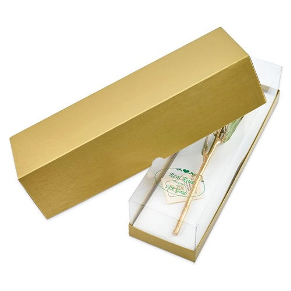 24K Lacquer Dipped Gold Trimmed Lilac Real Rose