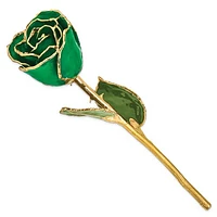 24K Lacquer Dipped Gold Trimmed Real Rose