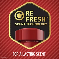 Old Spice Wild Collection Bodyspray Swagger