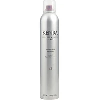 Thermal Styling Spray 55%  19