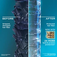 Nourishing + Coconut Milk Shampoo