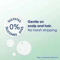 BARE Pure Clean 2in1 Dandruff Shampoo and Conditioner, Anti-Dandruff Treatment