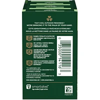 Irish Spring Aloe Mist Pain de Savon Désodorisant pour Hommes, 104.7 g