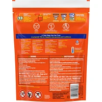 Liquid Laundry Detergent Pods, Spring Meadow, 31 Count