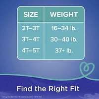 Pampers Easy Ups Training Underwear Boys Size 5 3T-4T 66 Count