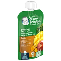 Organic Purée Mango Apple Carrot Kale Baby Food