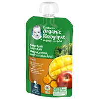Organic Purée Mango Apple Carrot Kale Baby Food