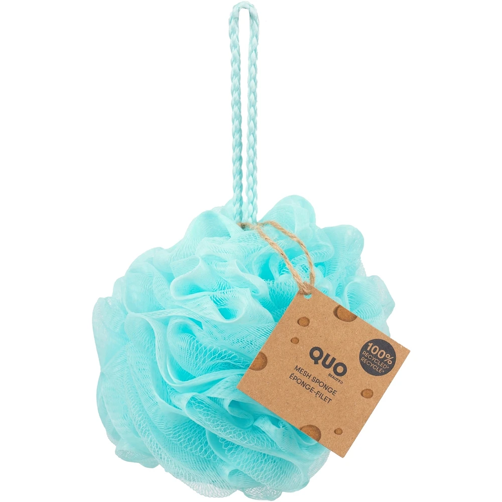 Mesh Sponge