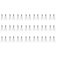 Dainty Lash