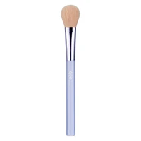 Essential Brush Set