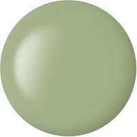 Ever Green Plant Based Nail Colour