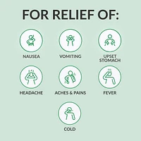 Ginger Multi-Symptom Cold and Fever Tablets with Willowbark