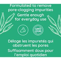 Clear Complexion Foaming Cleanser