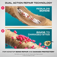 Repair & Protect Bond Protein Repair Sealing Hair Serum