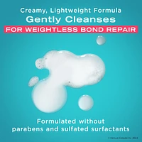 Repair & Protect Bond Protein Repair Shampoo