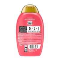 Repair & Protect Bond Protein Repair Shampoo