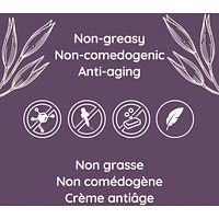 Absolutely Ageless Restorative Anti Aging Night Cream