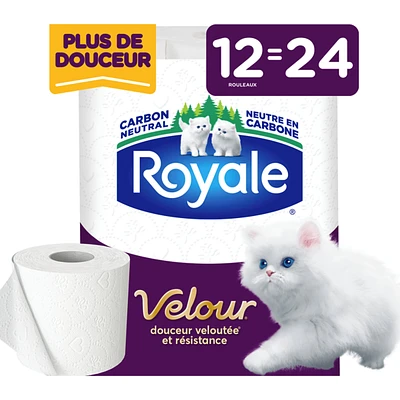 Rolls Of Bathroom Tissue 2 Ply