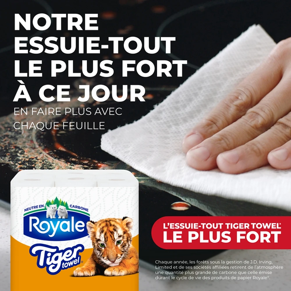 Rolls Of Paper Towel 2 Ply