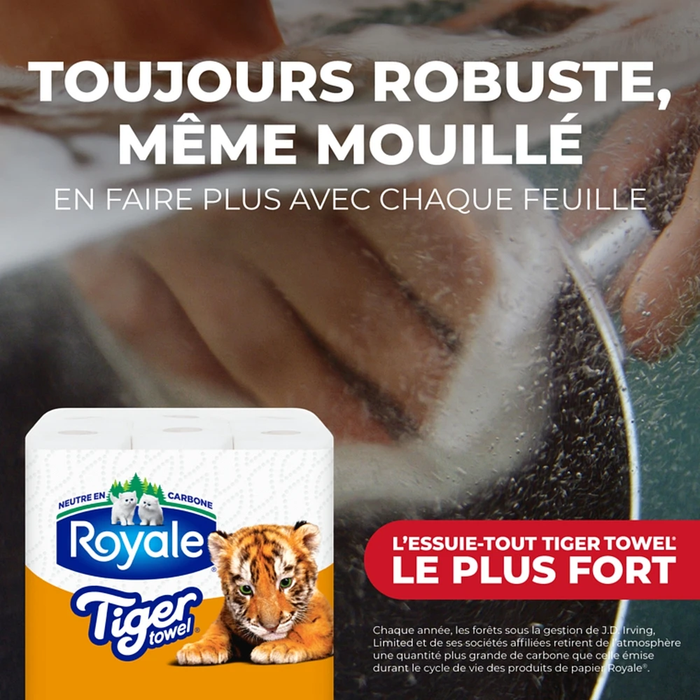 Rolls Of Paper Towel 2 Ply