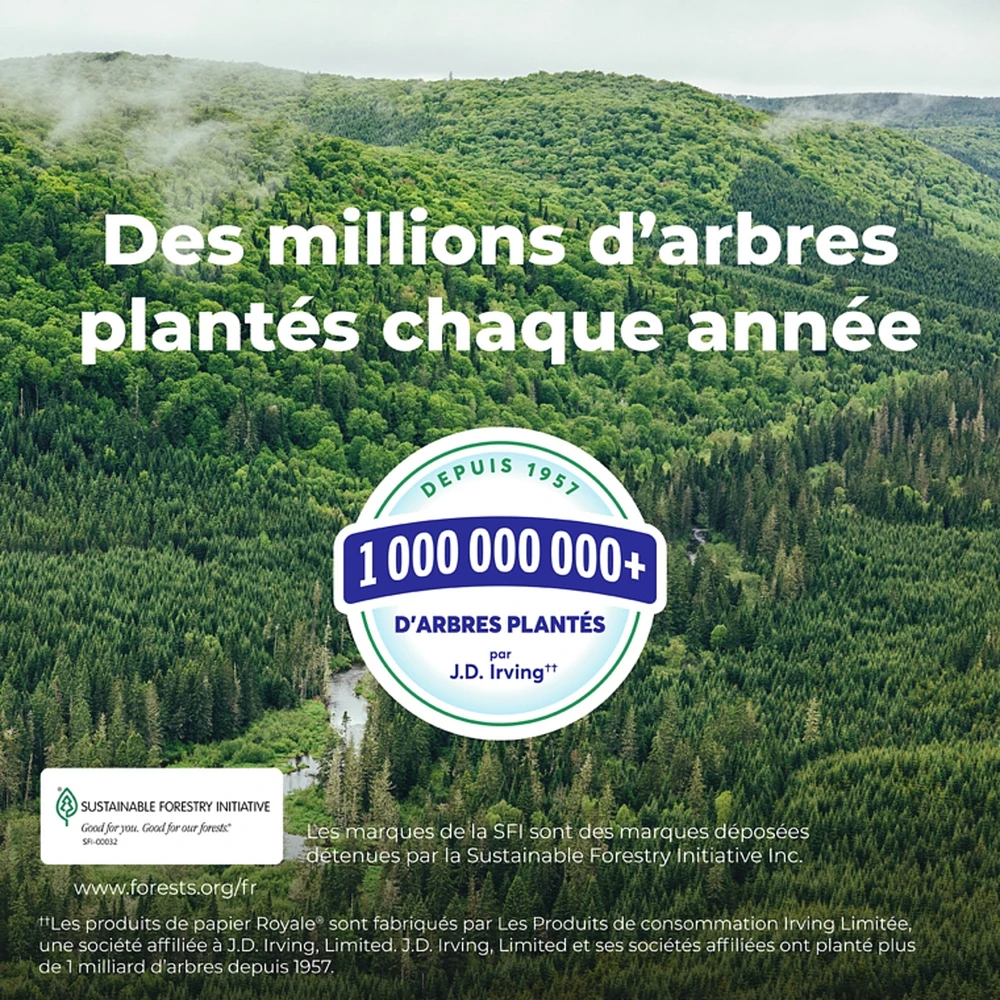 Rolls Of Paper Towel 2 Ply