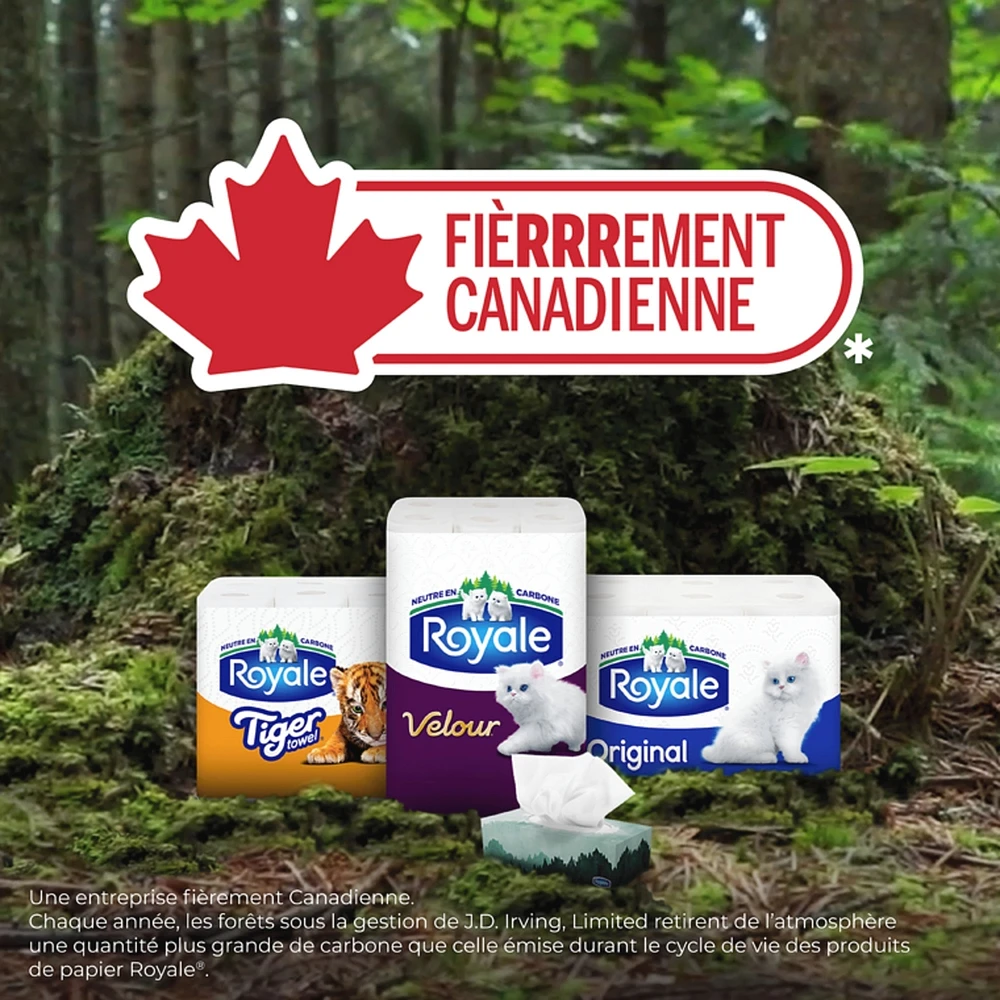 Rolls Of Paper Towel 2 Ply