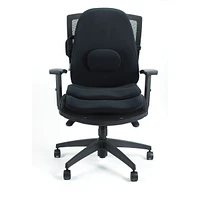 Lowback Backrest & Seat Combo