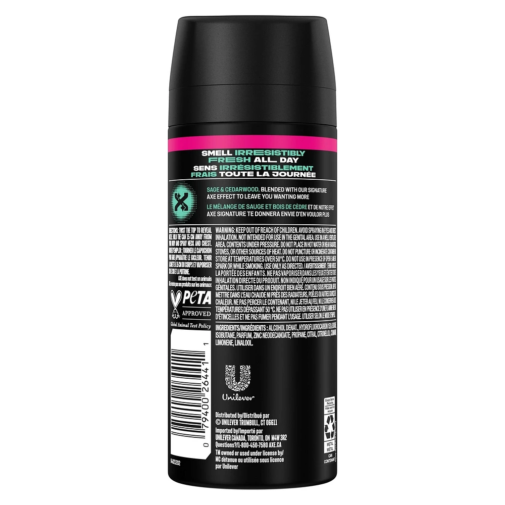 AXE Deodorant Body Spray Apollo 113 g
