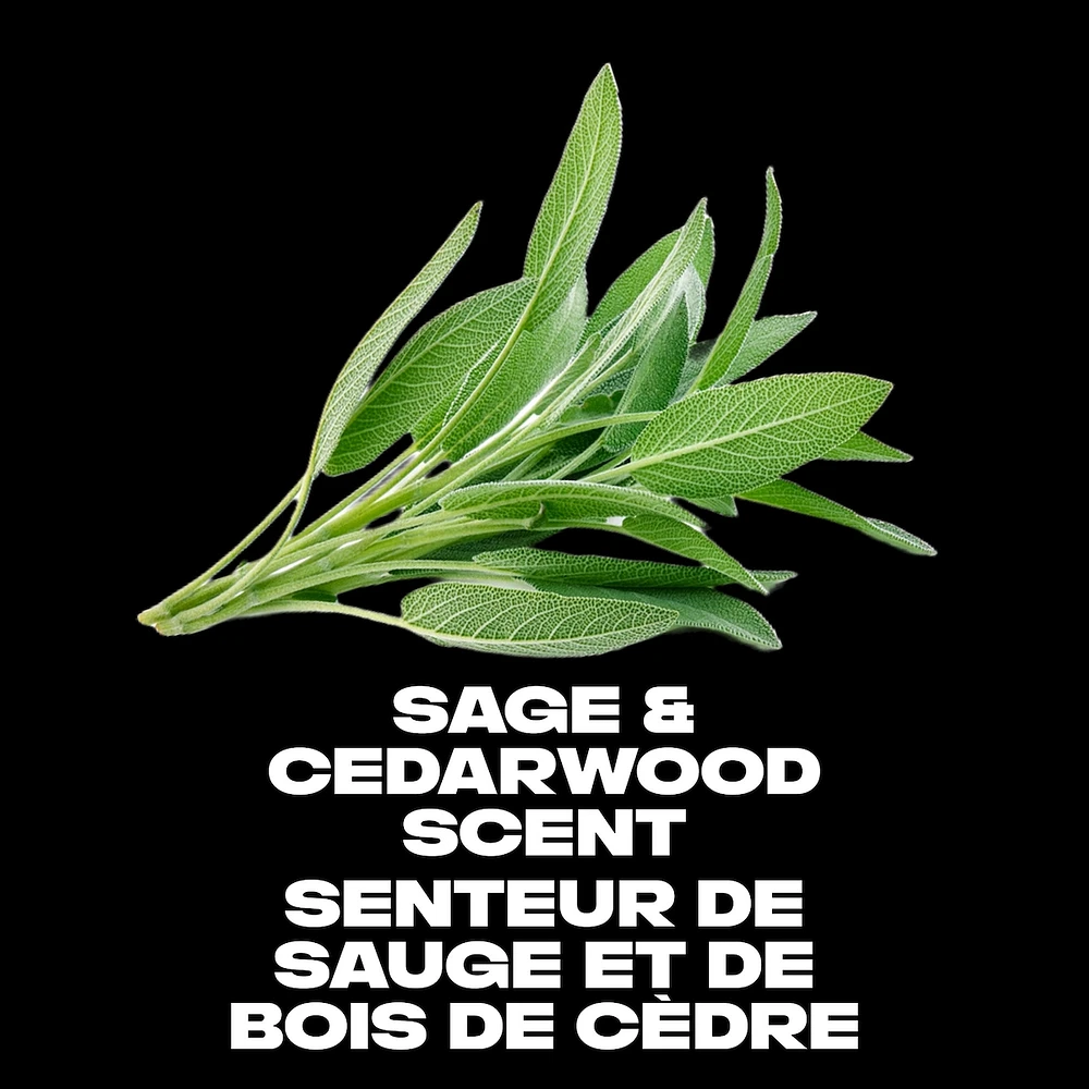 AXE Deodorant Body Spray Apollo 113 g