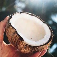 Classics Hydrate Coconut Water & Jasmine Conditioner