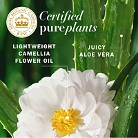 Repairing Leave-in Conditioner, Certified Pure Plants, with Aloe and Camellia Flower Oil