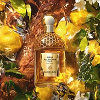 Aqua Allegoria Forte Oud Yuzu Eau de Parfum Refill