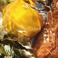 Aqua Allegoria Forte Oud Yuzu Eau de Parfum Refill