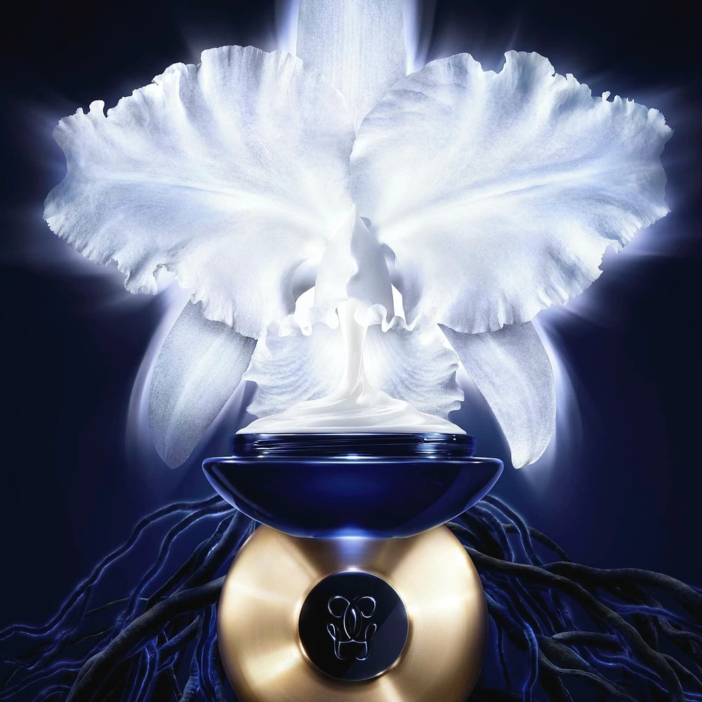 Orchidée Impériale