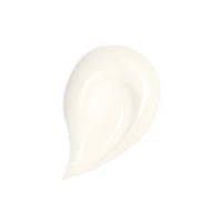 Abeille Royale Honey Treatment Day Cream - The Refill