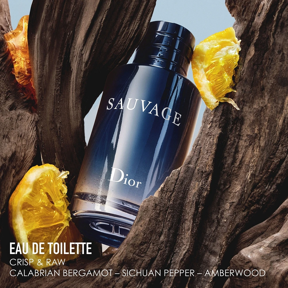 Sauvage
eau de toilette
