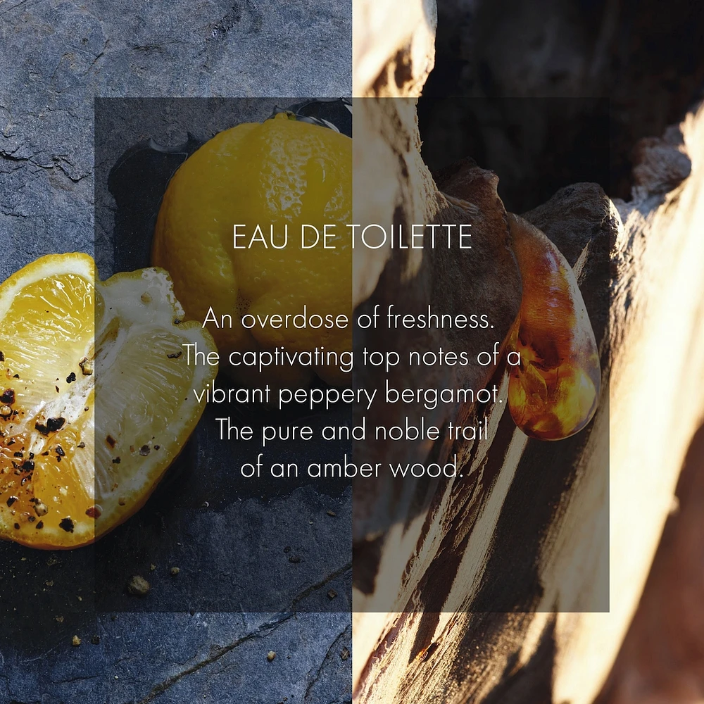 Sauvage
eau de toilette