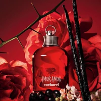 Eau de toilette en vaporisateur Amor