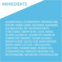 Salicylic Acid Cleanser